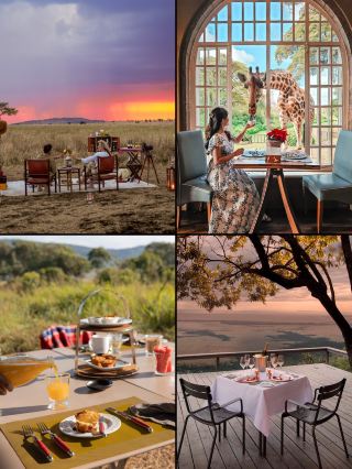 🔥 Kenya great migration safari ❌ We reject the typical, cookie-cutter tours‼
Spending over 20,000, it’s not about hardship!
We live right in the African savanna, with animals just outside the window❗
True luxury is more than just hotels + jeeps. It means ✨ watching elephants at sunset on the savanna, ✨ walking alongside wildebeests; and staying at a luxury wilderness camp to hear the lions roar!! Private hot air balloon safari, jungle breakfast...
.
Xiaoye offers 👉【experienced custom team + self-operated open-top jeep fleet + exclusive wilderness camps/hotels 🆓 resources】to create a wild, romantic, and free-spirited luxury vacation just for you!
.
✅ Kenya high-end custom
🏆|1-on-1 planner designs your itinerary at your pace
🏆|experienced guides and 24h travel concierge support
🏆|exclusive open-top safari jeeps with unobstructed views
🏆|all stays at luxury wilderness camps, watch animals from camp
.
✅ exclusive jeep + expert guide throughout, tracking wildlife
💯 private safari: chase the big five, wildebeest river crossing, lion hunts, hot air balloon views...
💯 face Mount Kilimanjaro, capture snow-capped peaks + sunset + elephant group photos
💯 boat on Lake Naivasha, hike Crescent Island with animals
💯 track white rhinos and flamingos at Lake Nakuru
💯 savanna wine party + sunset champagne...
· 
✅ private Sopa series:
While others squeeze into budget lodges, we stay at selected Sopa camps, stroll with giraffes, watch hippos graze by the river at night

🏕 Naivasha Sopa Resort
· the most beautiful Sopa camp! Closest to animals, with zebras and giraffes roaming the lawn freely
🏕 Maasai Mara Sopa: stay inside the reserve, pool facing the savanna, 360° wildlife views!
🏕 Amboseli Sopa: garden views of Kilimanjaro’s snowy peak, animals playing just outside your door!
🏕 Nakuru Sopa: perched on a hill overlooking Lake Nakuru, balcony views of flamingo pink storms
.
💫 8 days 7 nights itinerary
D1-2: Nairobi → Amboseli elephant herds and snow-capped peak
D3: Lake Naivasha + Crescent Island hike
D4: Nakuru flamingos + rhinos
D5-7: deep safari in Maasai Mara + crossing the river + sunset wine party
D8: Nairobi → airport transfer and departure
.
· —🌟 choose us for your Kenya custom trip!
✅ focused on high-end Africa travel and private custom trips
✅ private, intimate travel with dedicated driver-guide, no interruptions
✅ all stays at luxury wilderness camps, immersive animal kingdom experience
✅ itinerary adjusts anytime, overseas travel feels like home
.
🔜 private message me “time + number of people” to unlock your luxury Kenya safari
Images sourced from official hotels and the web, please do not misjudge 