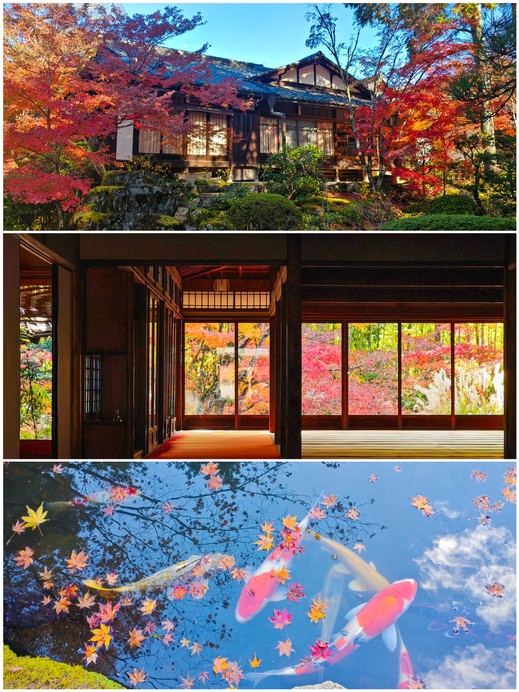 京都・天授庵、人混みを避けた禅の心を感じる紅葉の秘境 | Trip.com 京都