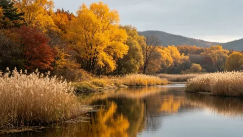Anshan Autumn Getaway | The underrated autumn scenery in Liaodong is absolutely stunning — traveler post in Anshan