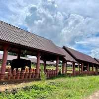 หมู่บ้านช้าง​ จังหวัดสุรินทร์