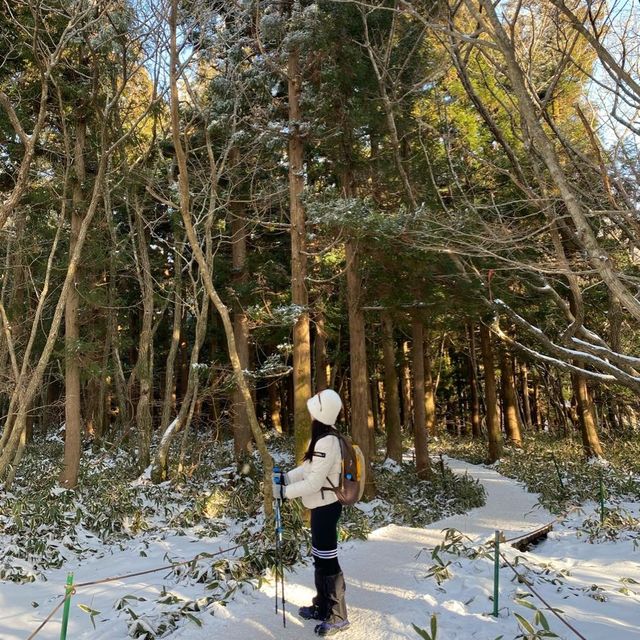 제주도 한라산 백록담 눈쌓인 설산 보고왔어요