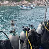 ดำน้ำเกาะเต่า 🤿  #scuba