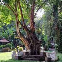 ลำปางริเวอร์ลอดจ์