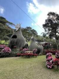 สวนดอกไม้สวยๆ ชมความงดงามบนยอดดอย