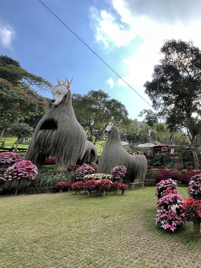 สวนดอกไม้สวยๆ ชมความงดงามบนยอดดอย