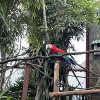去邊去玩？🤣來香港Ocean Park。