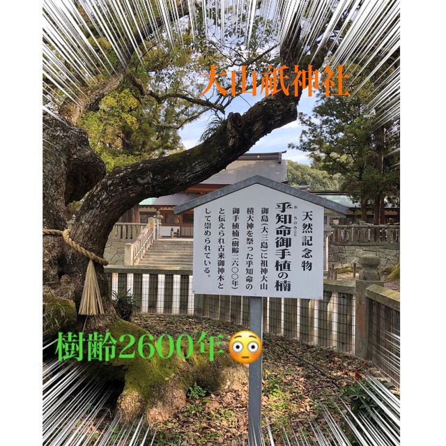 大山祇神社サマ✨