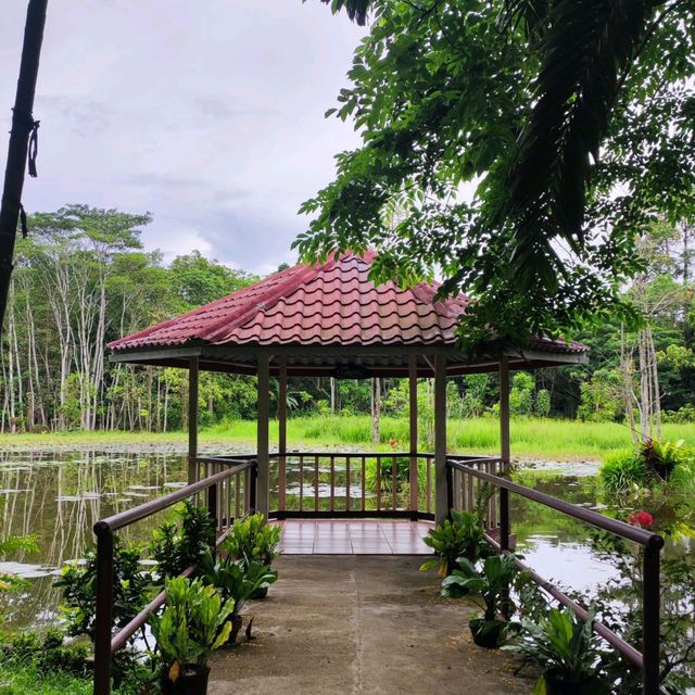 RELAXING NATURE PARK AT TAGUM CITY