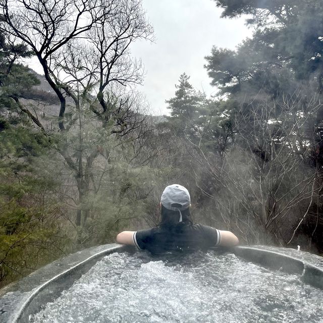 머무는 시간 내내 힐링가득한 숲속 리조트