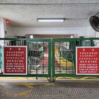 天星小輪 - 香港的歷史文化遺產