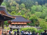 Kiyomizu-dera Temple | Kyoto Japan🇯🇵