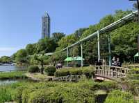 名古屋　名古屋観光　名古屋東山動物園でイケメンゴリラのシャバーニ君に会ってきた！