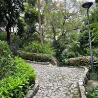 Montanha Russa Garden 