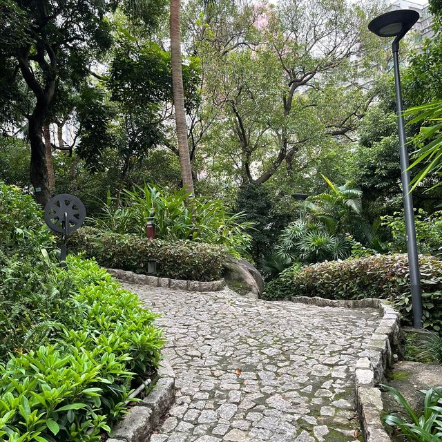 Montanha Russa Garden 