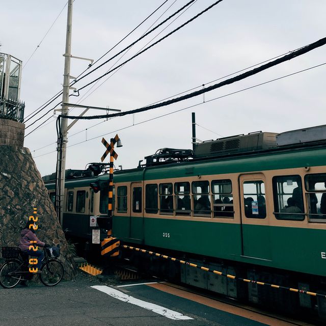 日本東京近郊🇯🇵 鎌倉江之島一日遊