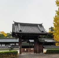 ปราสาทโอคาซากิ (Okazaki Castle)🏯