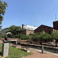 Take a canal boat cruise in Georgetown 