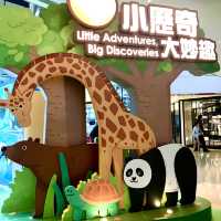 Life Adventures, Big Discoveries!