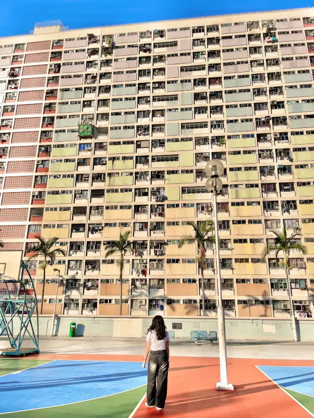 무지개 아파트, 홍콩 초이홍🌈