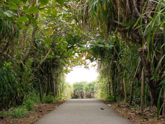 【宮古島】伝説残る通り池‎𓂃 𓈒𓏸
