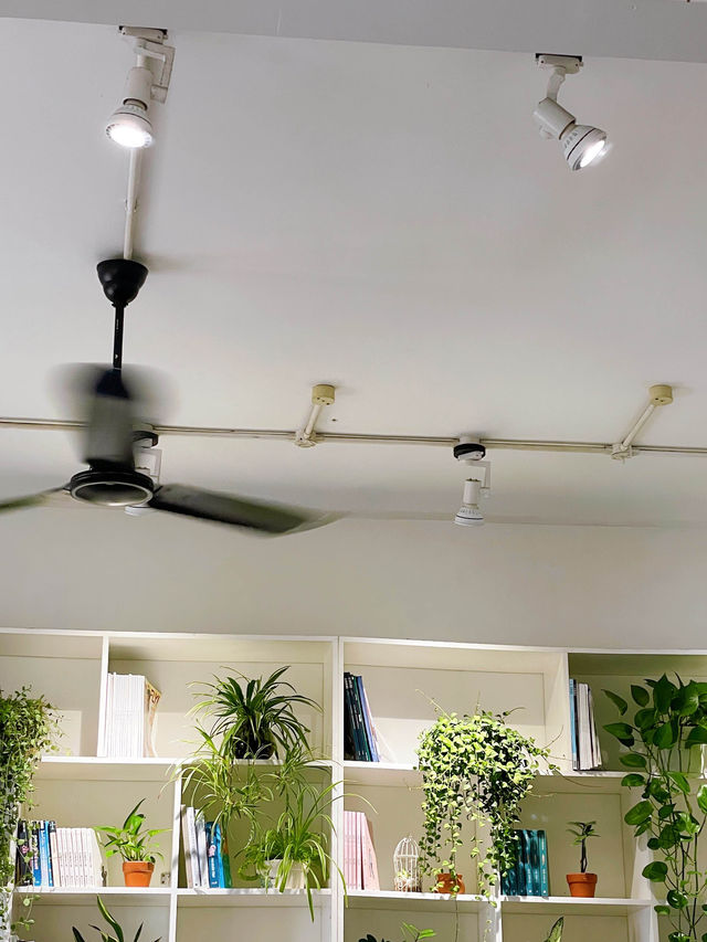 ร้านคาเฟ่น่าไปที่ The Cafe Apartment