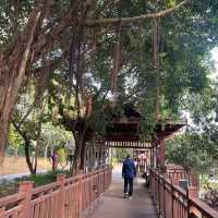 到立新湖公園放鬆打卡一天