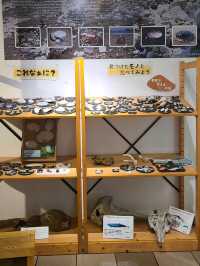 【福井】入館無料で楽しめる水族館
