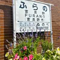 Furano the town of Flower 🌼🪻