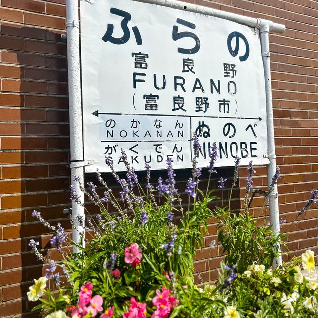 Furano the town of Flower 🌼🪻