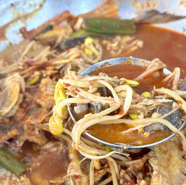 강원도 속초 회+대게 맛집