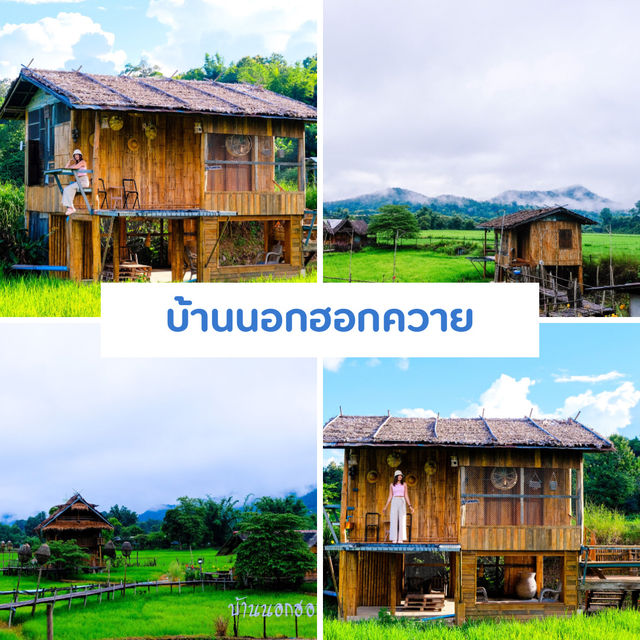 เที่ยวเชียงใหม่ 8 วัน 7 คืน 