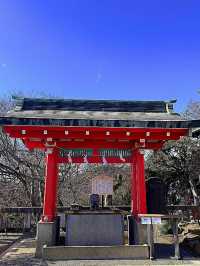 【足利】カラフルな七色の鳥居がある足利織姫神社