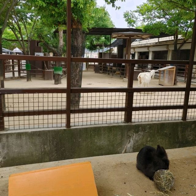 おとぎの国？野生動物を見た人間の感想がだいたい「美味しそう」