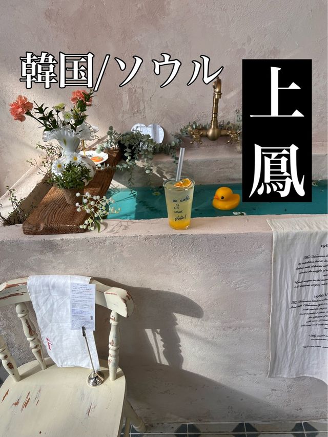 韓国/ソウル【上鳳】小さなプールがある🤍インテリアがとってもオシャレなジェジュカフェ💙