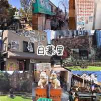 日暮里發掘之旅‼️輕遊半日😝休閒體驗