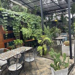 Nokhookcafe' User Photo