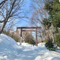 눈이 가득한 삿포로의 마루야마 공원 円山公園 일본여행