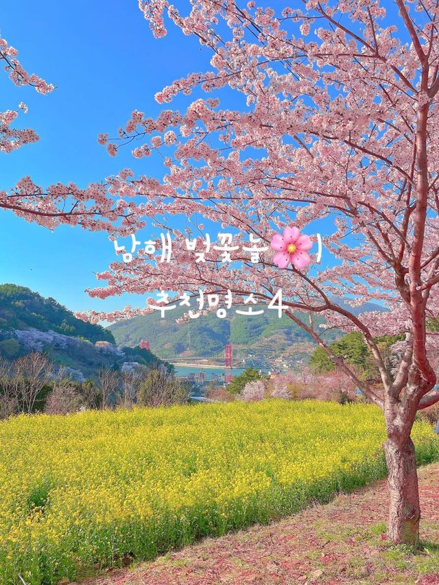 남해 벚꽃명소 4