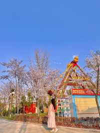 동화 속에 온 듯한 벚꽃뷰 놀이공원 🎡🌸