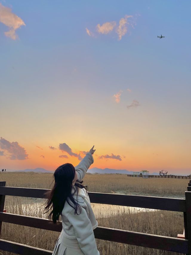 뚜벅이도 가능한 부산 당일치기 코스 추천!🌊