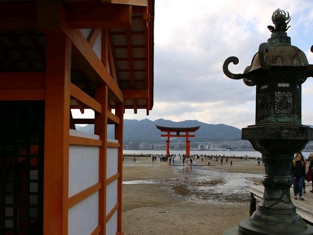 Miyajima and deers of God