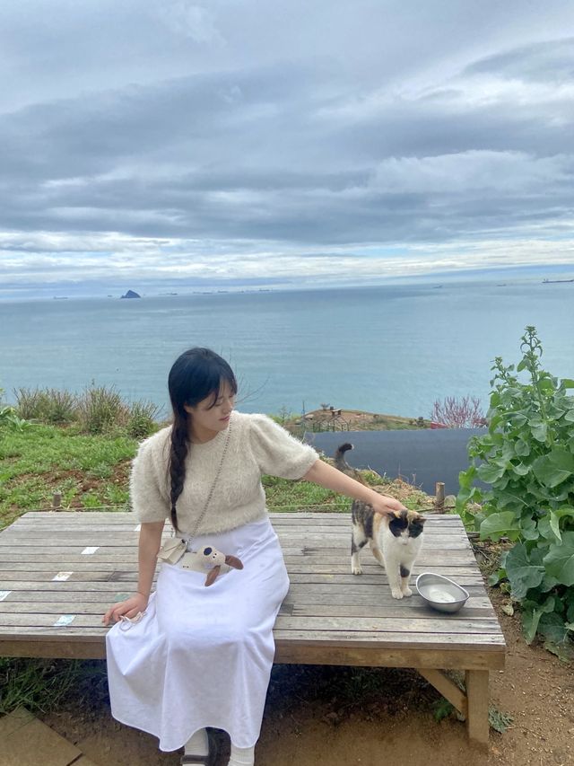 🌷봄에 남해에서 제일 이쁜 카페🌷