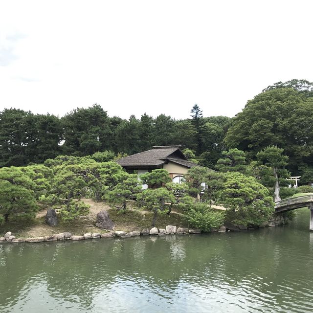 岡山代表地🤪岡山城🫶🏻歷史建築🈴️旅遊必到