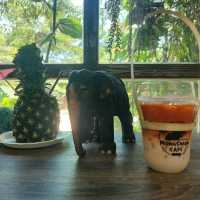 คาเฟ่ ฟีลธรรมชาติ