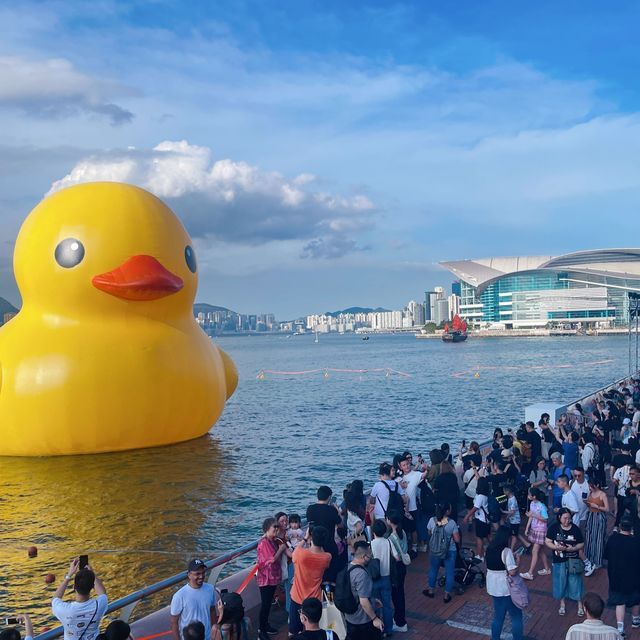 DOUBLE DUCKS橡皮鴨二重奏遊維港藝術展覽打卡
