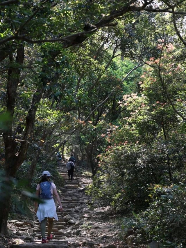 又休閒又美路線分享：香港馬鞍山昂平草原