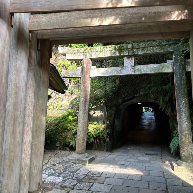 【 神奈川 / 鎌倉 】金運アップ！パワースポット💰
