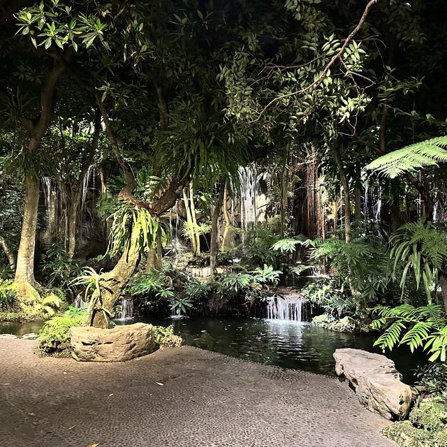 泰國 清邁 黑森林餐廳