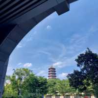 xiamen library in my mind 