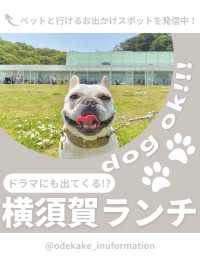 【横須賀】わんこと行けるおしゃれランチ🌿